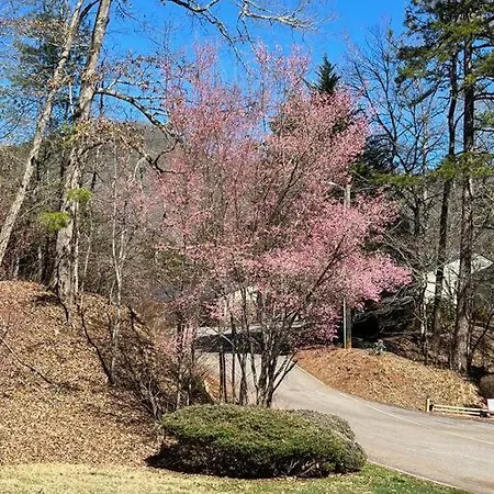 Creekside Gated Golf Mtn Villa W/Fast Wifi & Paved Franklin Exterior photo
