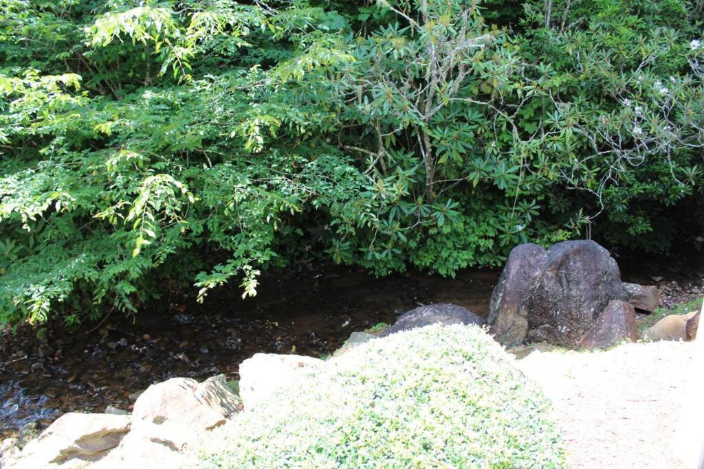 Creekside Gated Golf Mtn W/fast Wifi & Paved Holiday home *